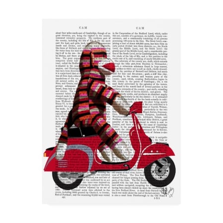 Fab Funky 'Sock Monkey On Moped' Canvas Art,18x24